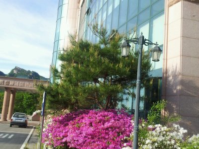 본당전경2